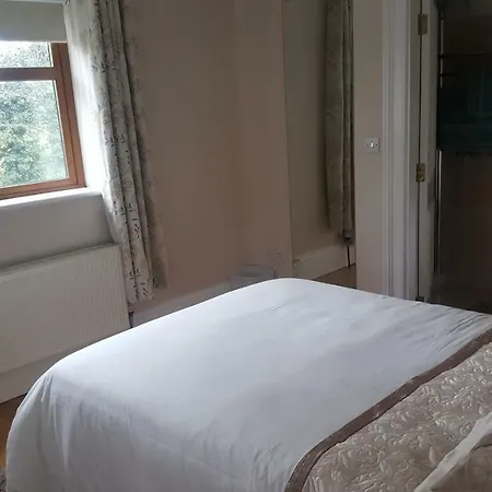 Woodbrook House Carlow